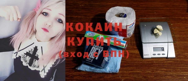 хмурый Абаза