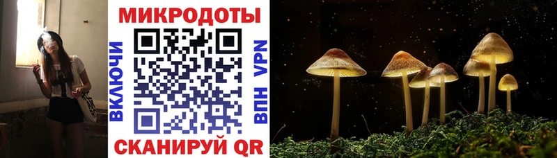 хочу наркоту  Богданович  Псилоцибиновые грибы ЛСД 