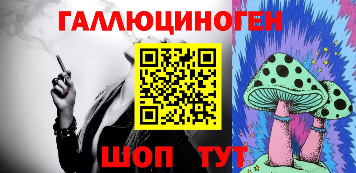 Галлюциногенные грибы Psilocybine cubensis  Вход с VPN  Богданович 