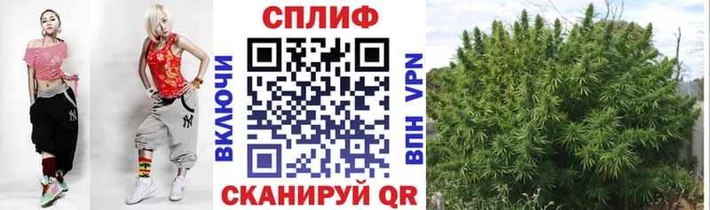 Марихуана планчик  Богданович 