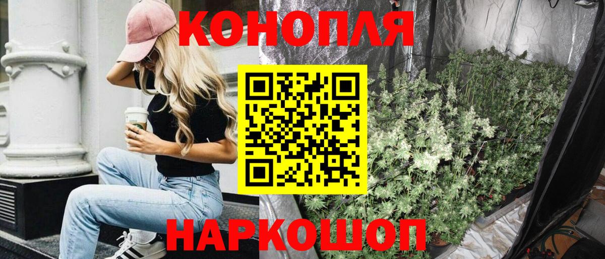 Конопля SATIVA & INDICA  Канабис семена  Канабис SATIVA & INDICA  Канабис индика  Вход с VPN  Богданович 